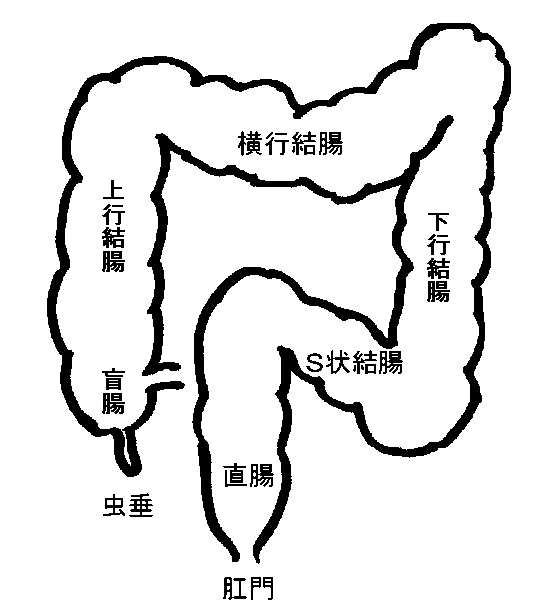 咰}